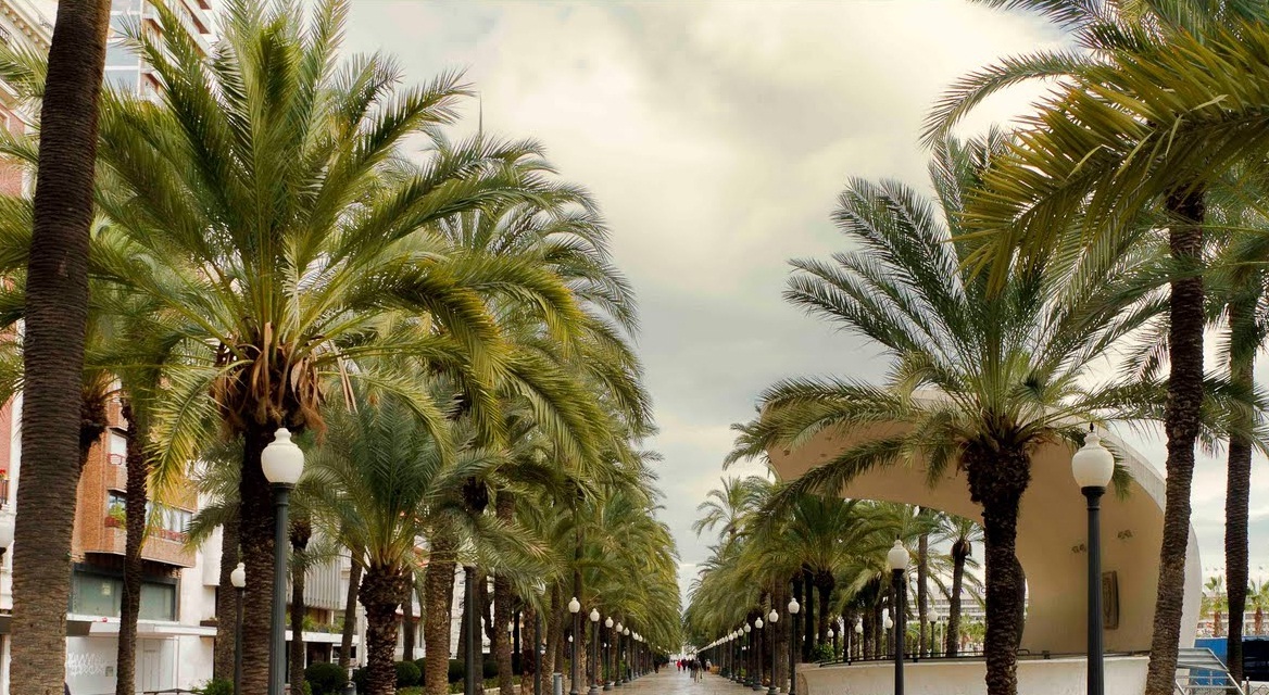 Alicante