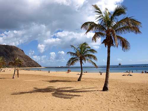 tenerife13